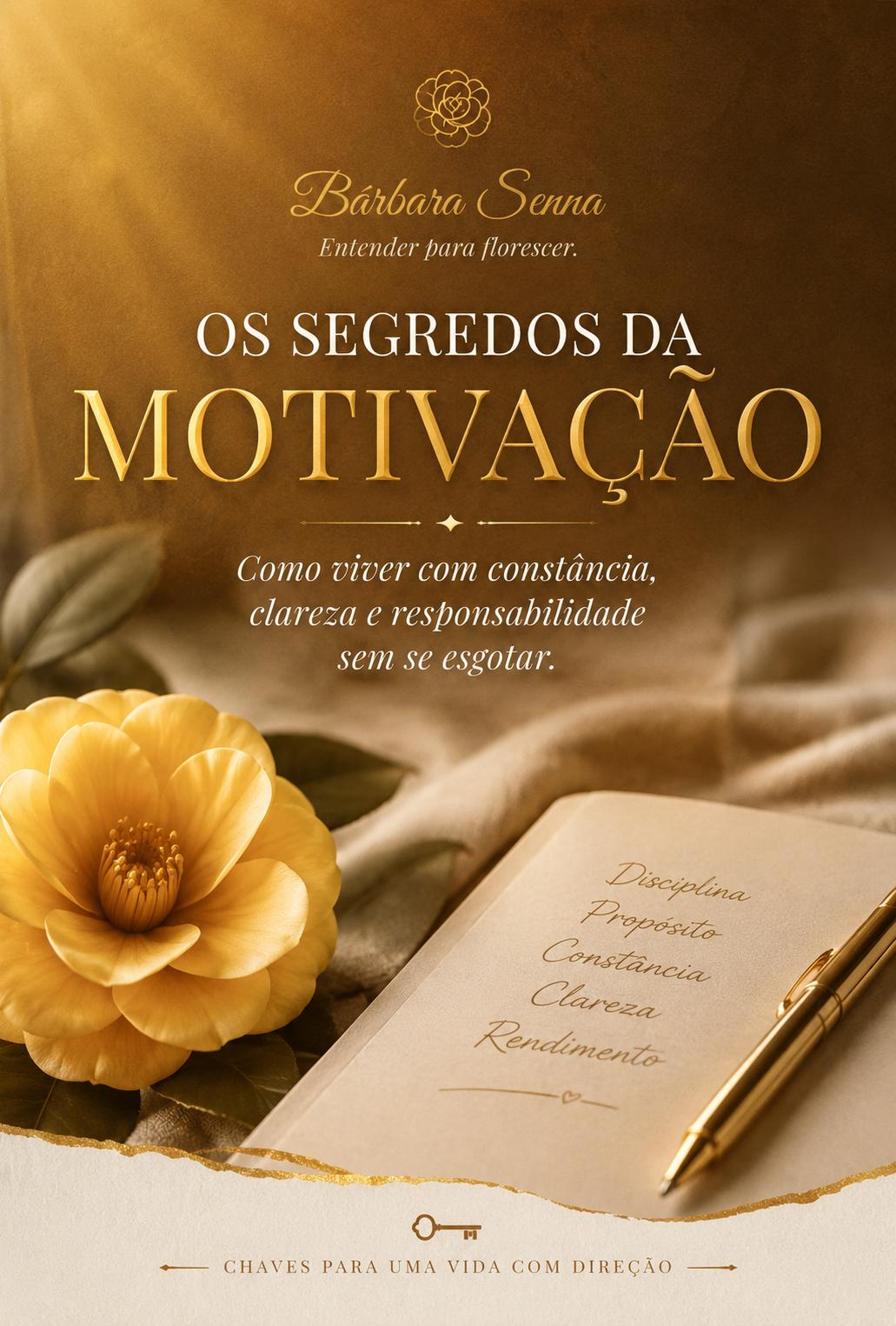Capa de Os Segredos da Motivação